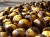 Roast chestnut festival at Vallerano near Rome