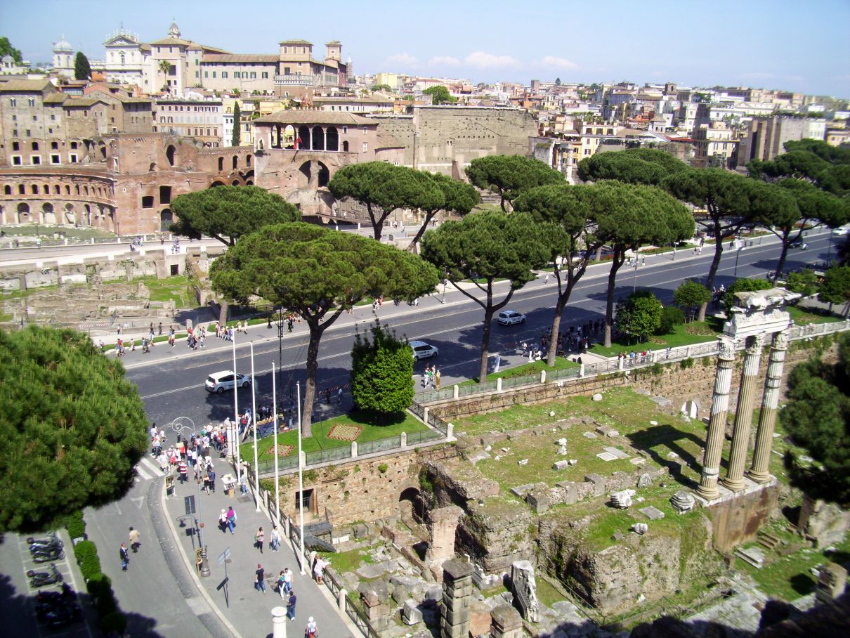 The Trees Of Rome Wanted In Rome