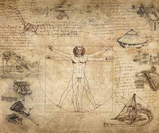 Leonardo da Vinci #39 s Vitruvian Man can go to France court rules