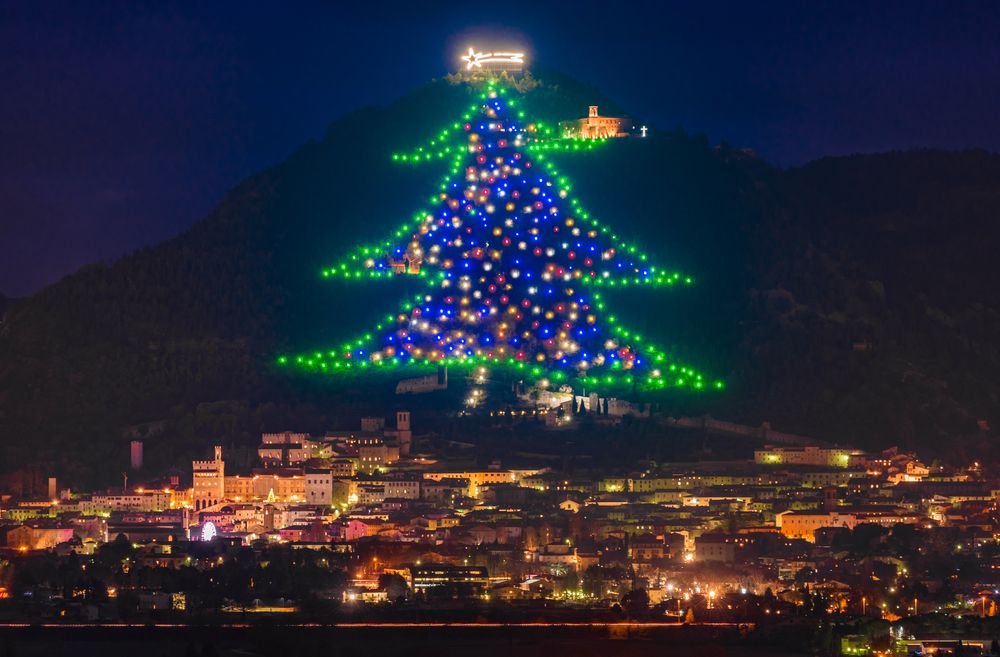 Italy lights up the world's largest Christmas tree Wanted in Rome