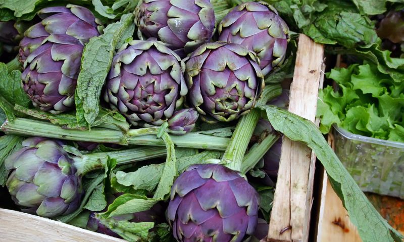 Rome's artichoke festival - Wanted in Rome