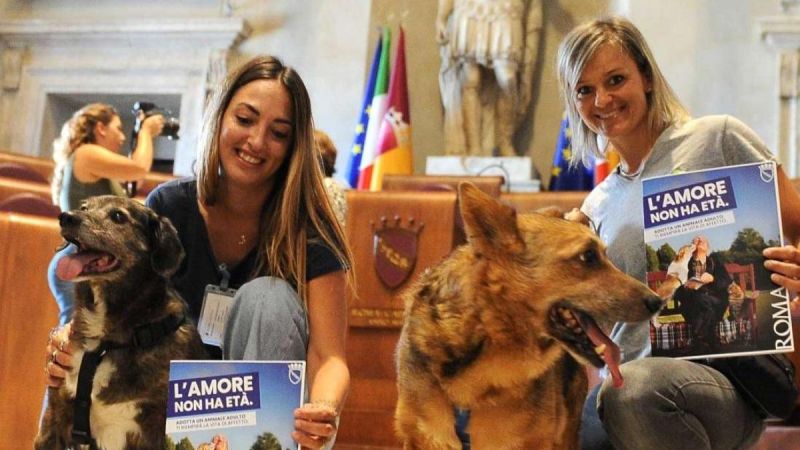 Love has no age: Rome promotes adoption of old dogs and cats