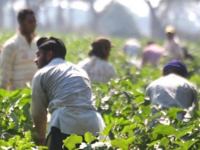 Indian farm worker dies in Italy after being abandoned on street with severe injuries