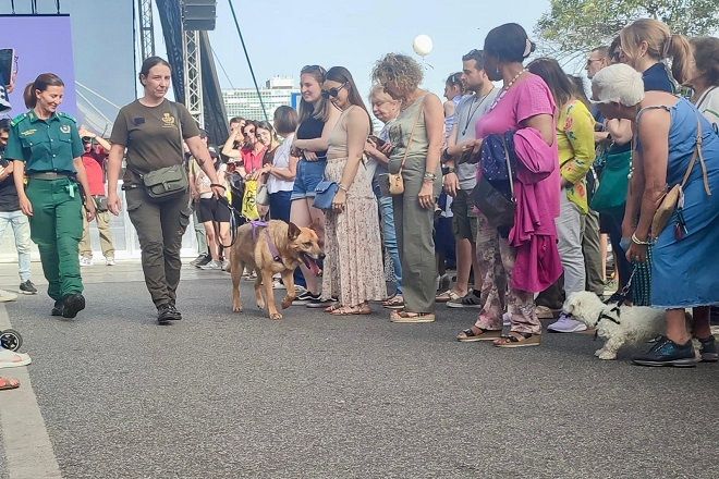 Rome kennels host dog parade to promote adoptions