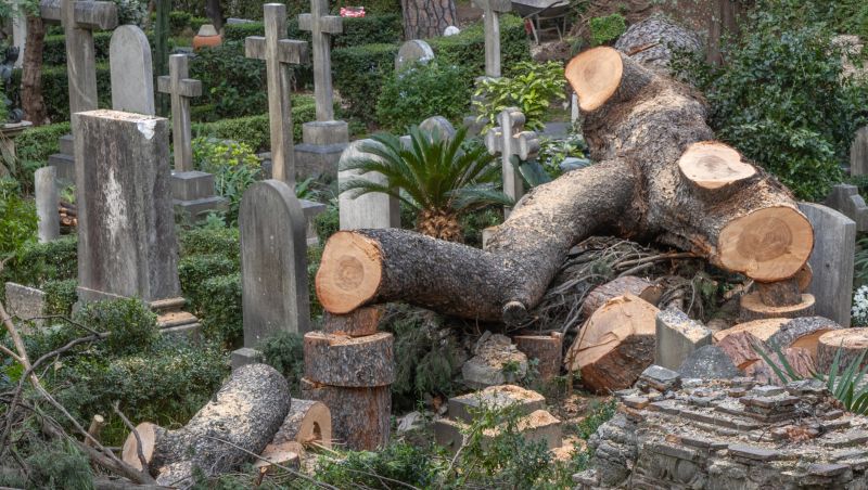 Rome's Non-Catholic Cemetery, closed after tree falls, seeks help