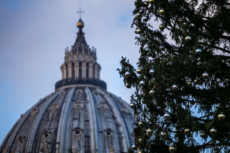 Vatican installs Christmas tree amid controversy