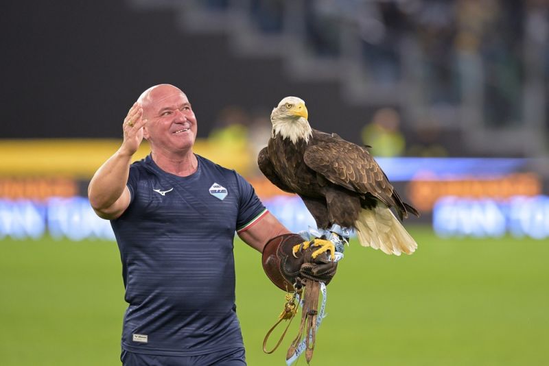 Lazio sacks falconer for penile implant video.